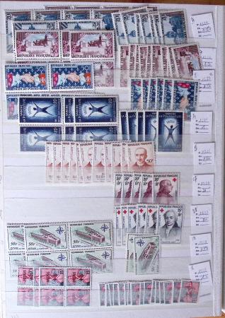 1900-1959, en 5 albums, très important stock de timbres
