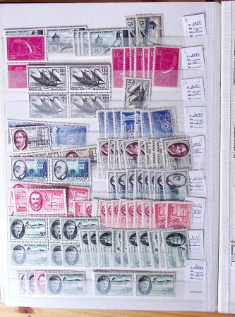 1900-1959, en 5 albums, très important stock de timbres