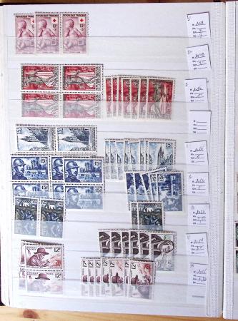 1900-1959, en 5 albums, très important stock de timbres