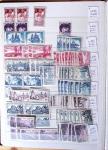 1900-1959, en 5 albums, très important stock de timbres