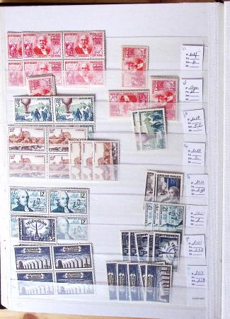 1900-1959, en 5 albums, très important stock de timbres
