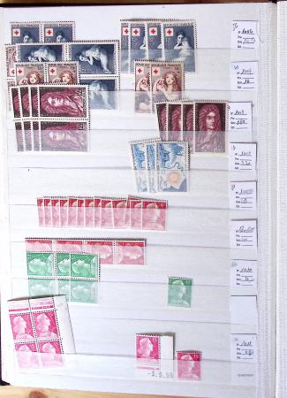 1900-1959, en 5 albums, très important stock de timbres