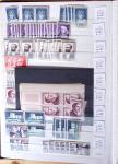 1900-1959, en 5 albums, très important stock de timbres