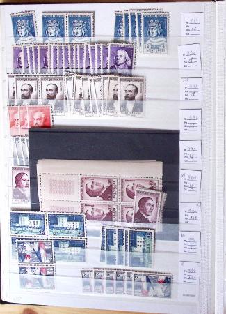 1900-1959, en 5 albums, très important stock de timbres