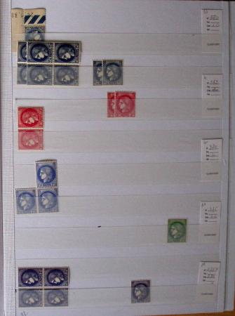 1900-1959, en 5 albums, très important stock de timbres