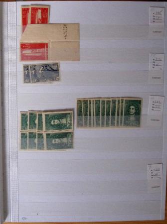 1900-1959, en 5 albums, très important stock de timbres