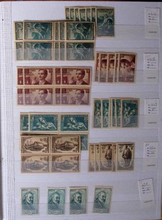 1900-1959, en 5 albums, très important stock de timbres