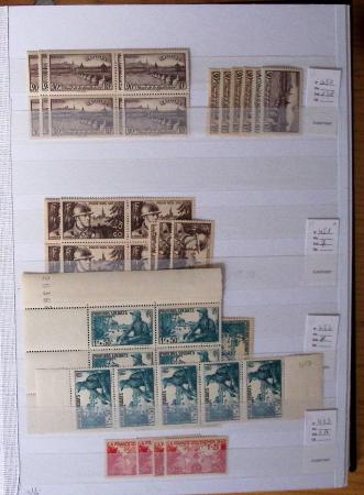 1900-1959, en 5 albums, très important stock de timbres