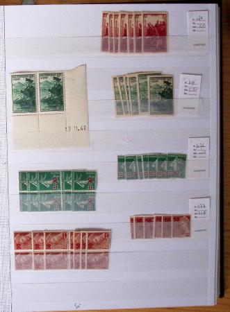 1900-1959, en 5 albums, très important stock de timbres