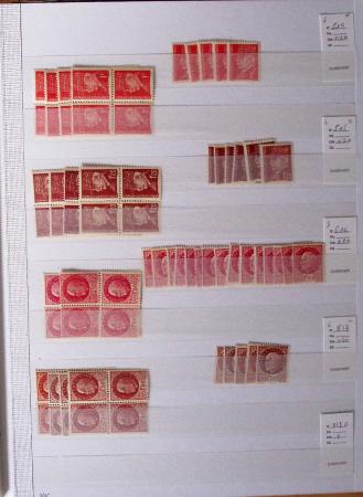1900-1959, en 5 albums, très important stock de timbres