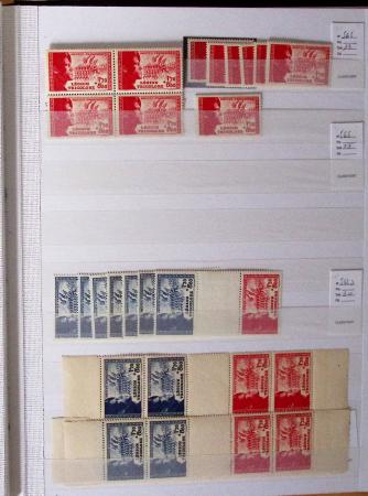 1900-1959, en 5 albums, très important stock de timbres