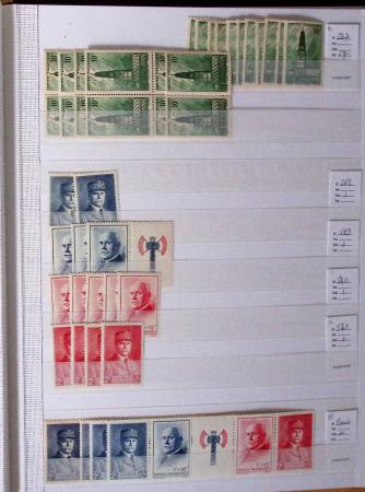 1900-1959, en 5 albums, très important stock de timbres