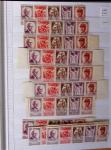 1900-1959, en 5 albums, très important stock de timbres