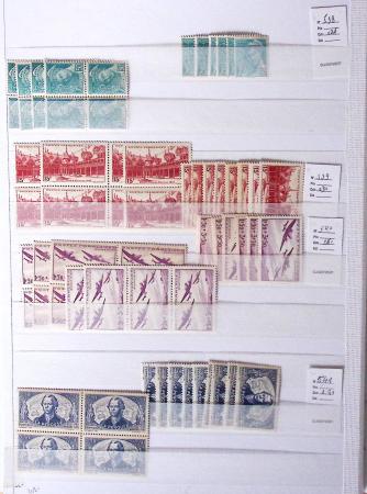 1900-1959, en 5 albums, très important stock de timbres