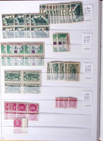 1900-1959, en 5 albums, très important stock de timbres
