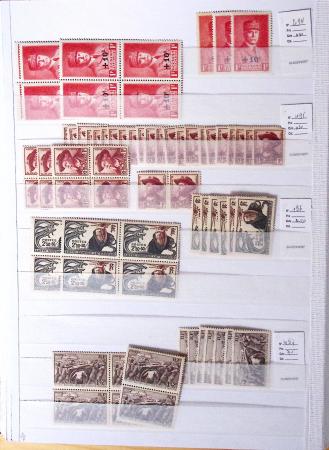 1900-1959, en 5 albums, très important stock de timbres