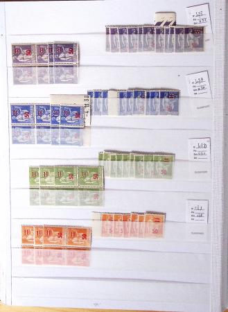 1900-1959, en 5 albums, très important stock de timbres