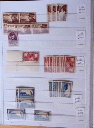 1900-1959, en 5 albums, très important stock de timbres
