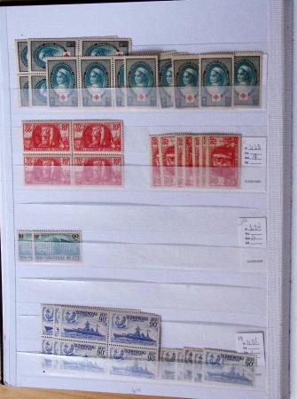 1900-1959, en 5 albums, très important stock de timbres