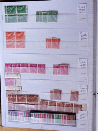 1900-1959, en 5 albums, très important stock de timbres