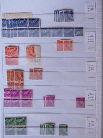 1900-1959, en 5 albums, très important stock de timbres