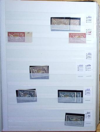 1900-1959, en 5 albums, très important stock de timbres