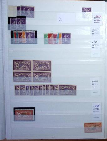 1900-1959, en 5 albums, très important stock de timbres