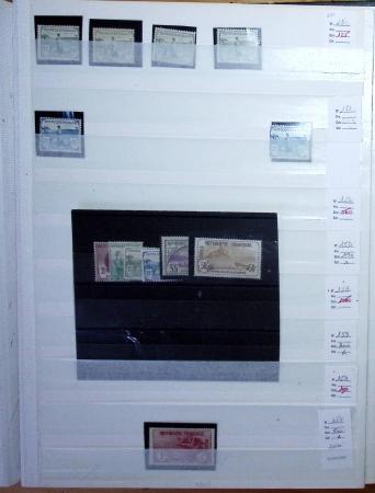 1900-1959, en 5 albums, très important stock de timbres