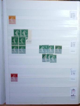 1900-1959, en 5 albums, très important stock de timbres