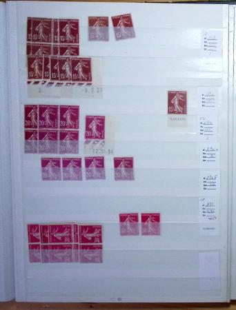 1900-1959, en 5 albums, très important stock de timbres