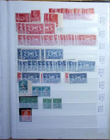 1900-1959, en 5 albums, très important stock de timbres