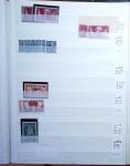 1900-1959, en 5 albums, très important stock de timbres