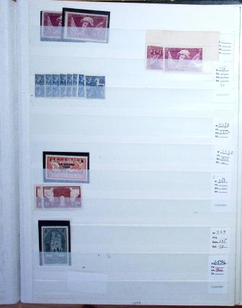 1900-1959, en 5 albums, très important stock de timbres