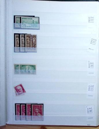 1900-1959, en 5 albums, très important stock de timbres