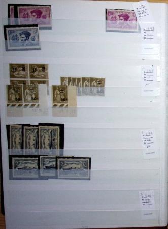 1900-1959, en 5 albums, très important stock de timbres