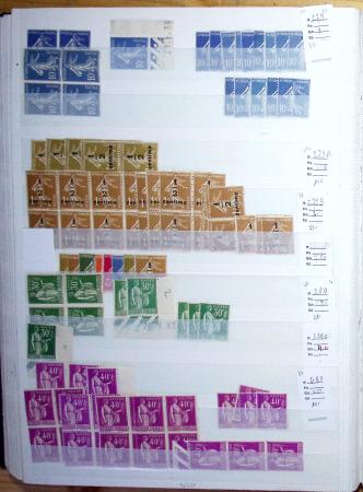 1900-1959, en 5 albums, très important stock de timbres