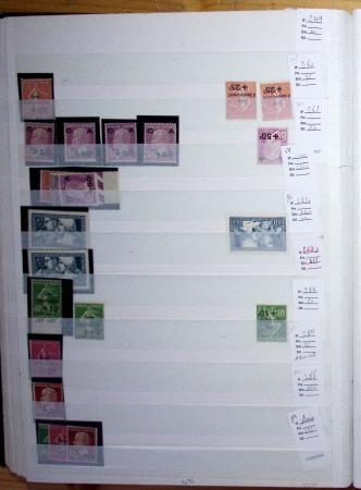 1900-1959, en 5 albums, très important stock de timbres