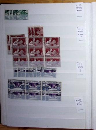 1900-1959, en 5 albums, très important stock de timbres