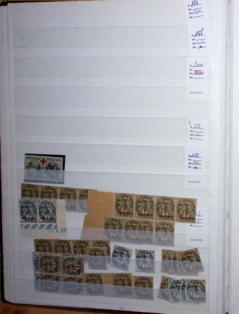 1900-1959, en 5 albums, très important stock de timbres