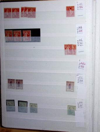 1900-1959, en 5 albums, très important stock de timbres