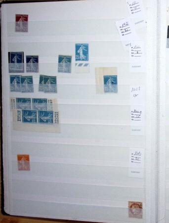 1900-1959, en 5 albums, très important stock de timbres