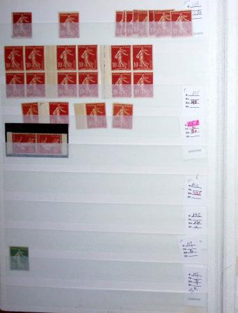 1900-1959, en 5 albums, très important stock de timbres