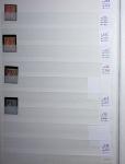 1900-1959, en 5 albums, très important stock de timbres