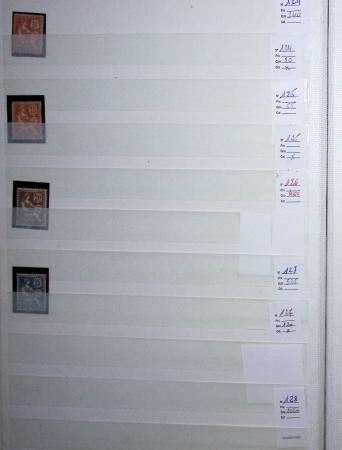 1900-1959, en 5 albums, très important stock de timbres