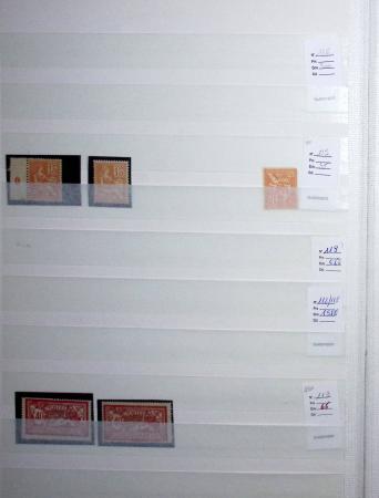 1900-1959, en 5 albums, très important stock de timbres
