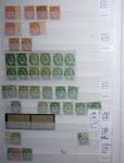 1900-1959, en 5 albums, très important stock de timbres
