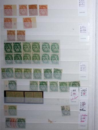 1900-1959, en 5 albums, très important stock de timbres