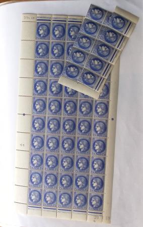 1900-1959, Sympathique lot de feuilles et panneaux