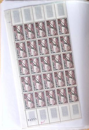 1900-1959, Sympathique lot de feuilles et panneaux