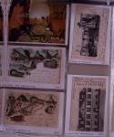 1899-1990 Quelques milliers de cartes postales anciennes